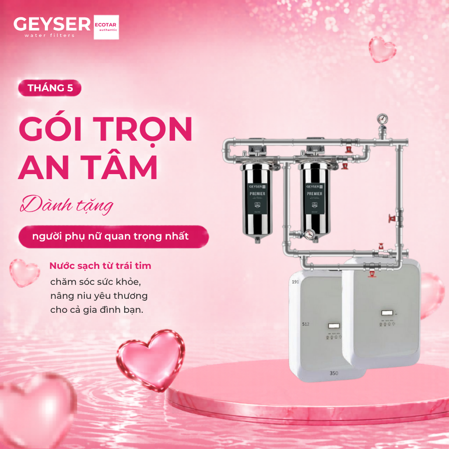 Lọc tổng đầu nguồn trên đường ống lắp âm trần cho căn hộ chung cư Geyser Ecotar 2F2Ss