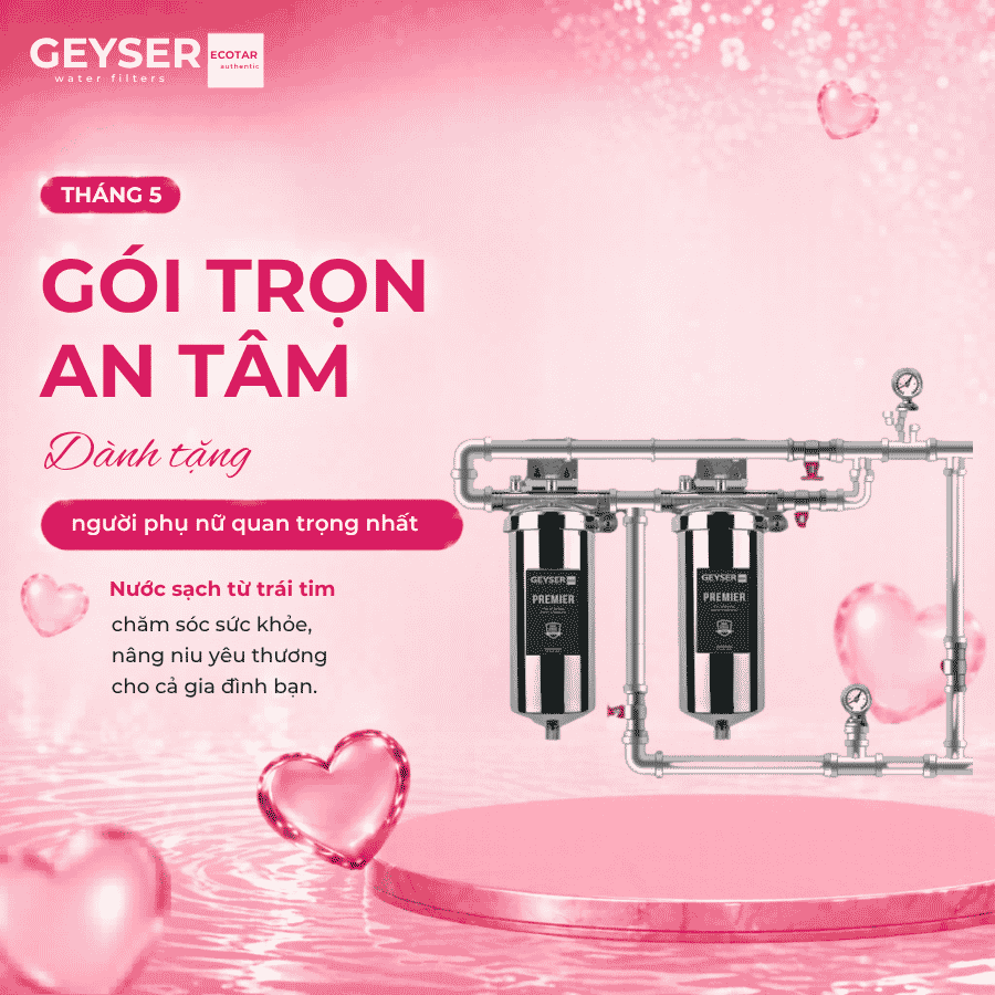 Lọc tổng đầu nguồn âm trần cho căn hộ chung cư Geyser Ecotar 2Fs
