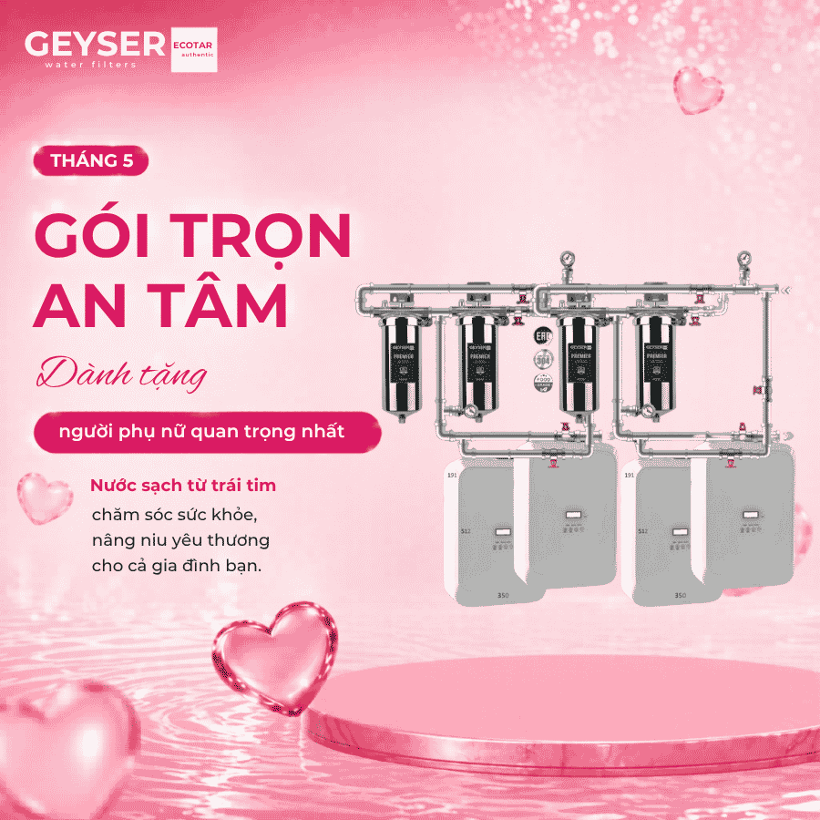 Lọc tổng đầu nguồn âm trần cho căn hộ chung cư Penthouse Geyser Ecotar 4F4Ss