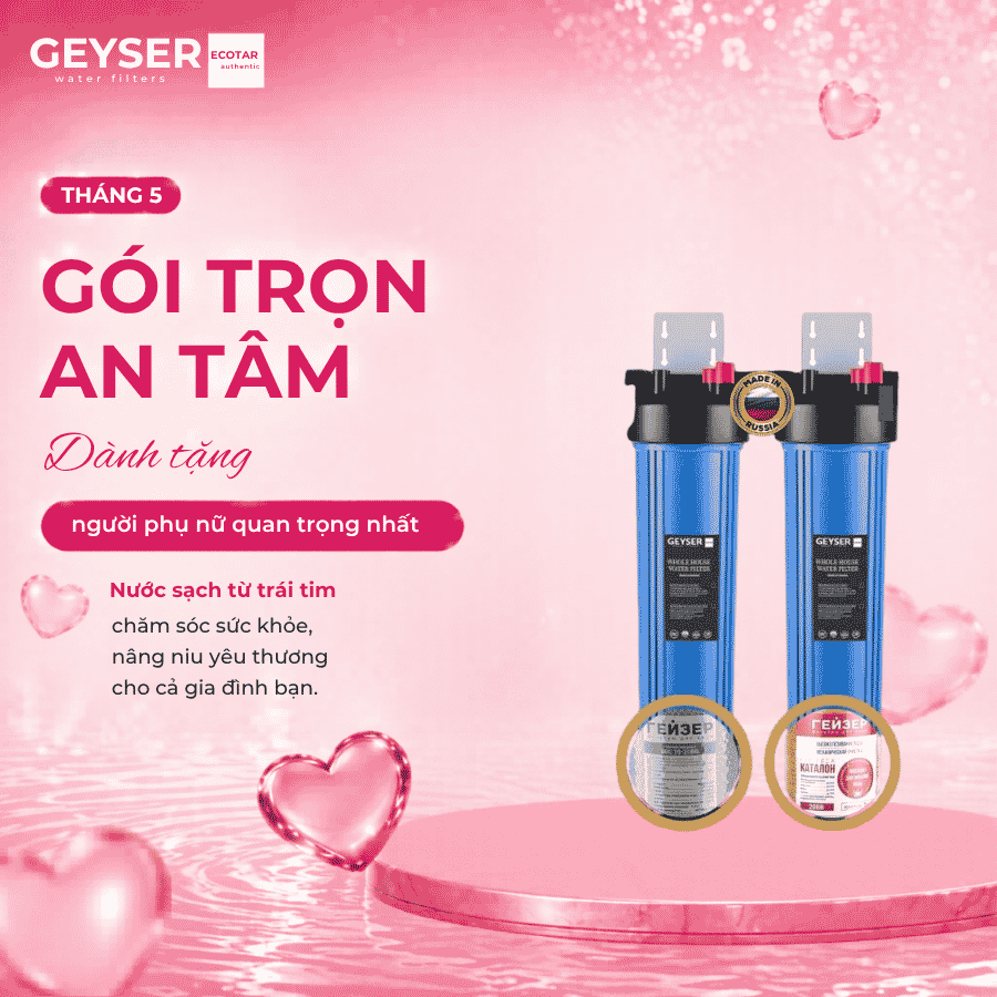Bộ lọc nước tổng đầu nguồn Geyser Ecotar ECO chuyên khử sắt, phèn, kim loại nặng