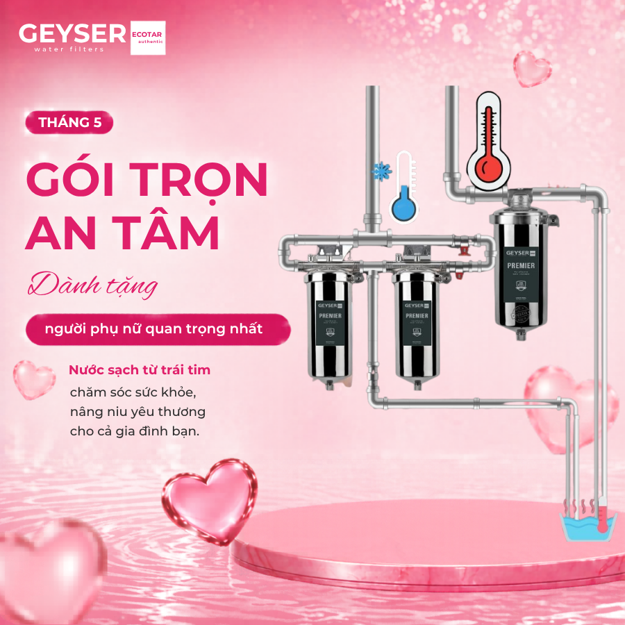 Lọc tổng đầu nguồn Nóng – Nguội âm trần cho căn hộ chung cư Geyser Ecotar 3Fs