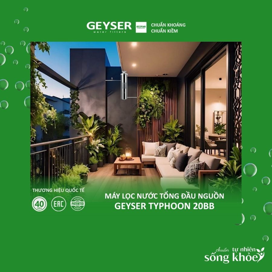 Máy lọc tổng đầu nguồn Geyser Typhoon 20BB