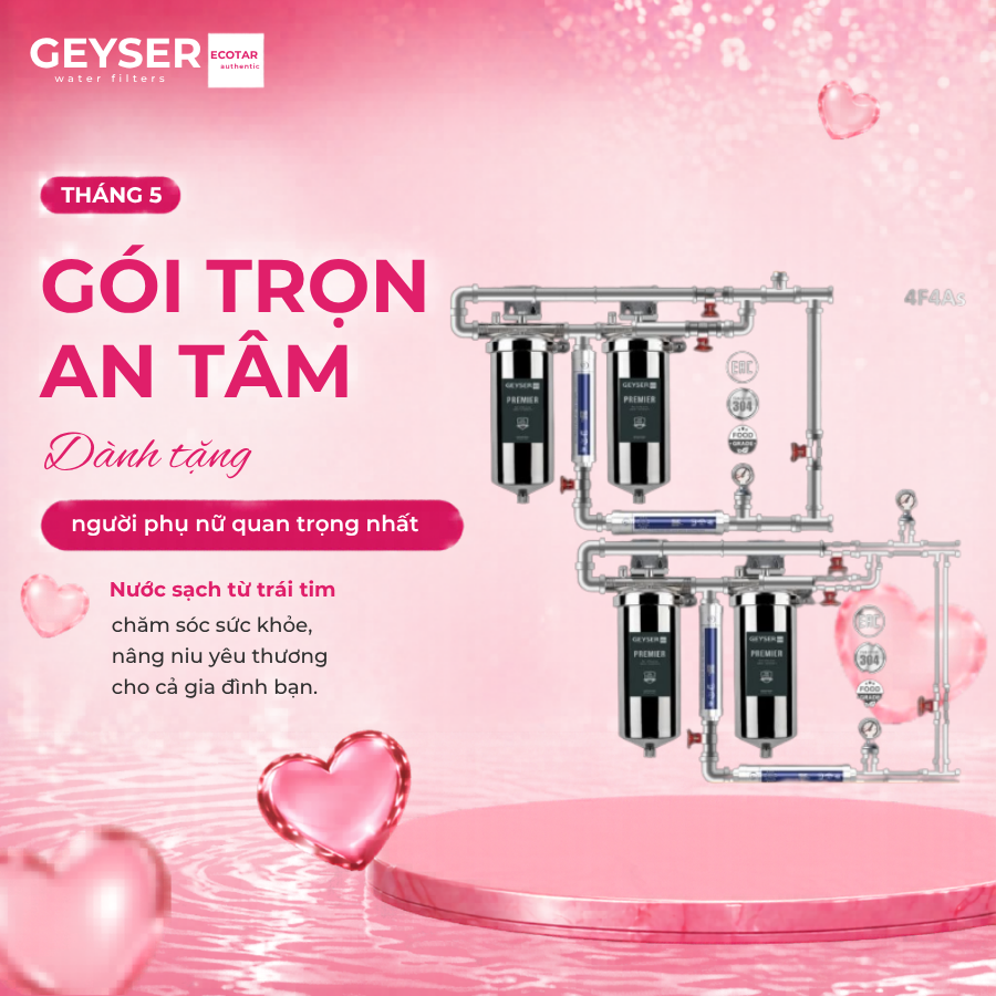 Lọc tổng đầu nguồn âm trần cao cấp cho Penthouse Geyser Ecotar 4F4As