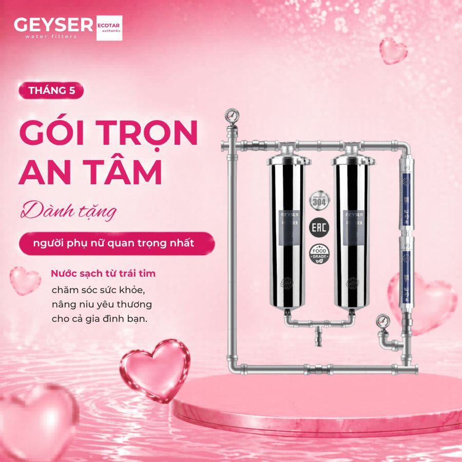 Geyser Ecotar 2F2A hay 2F2Ss: chọn đúng cấu hình