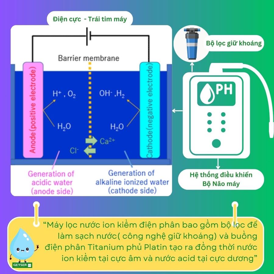 FAQ ion kiềm: pH, cách dùng và lưu ý an toàn cho gia đình