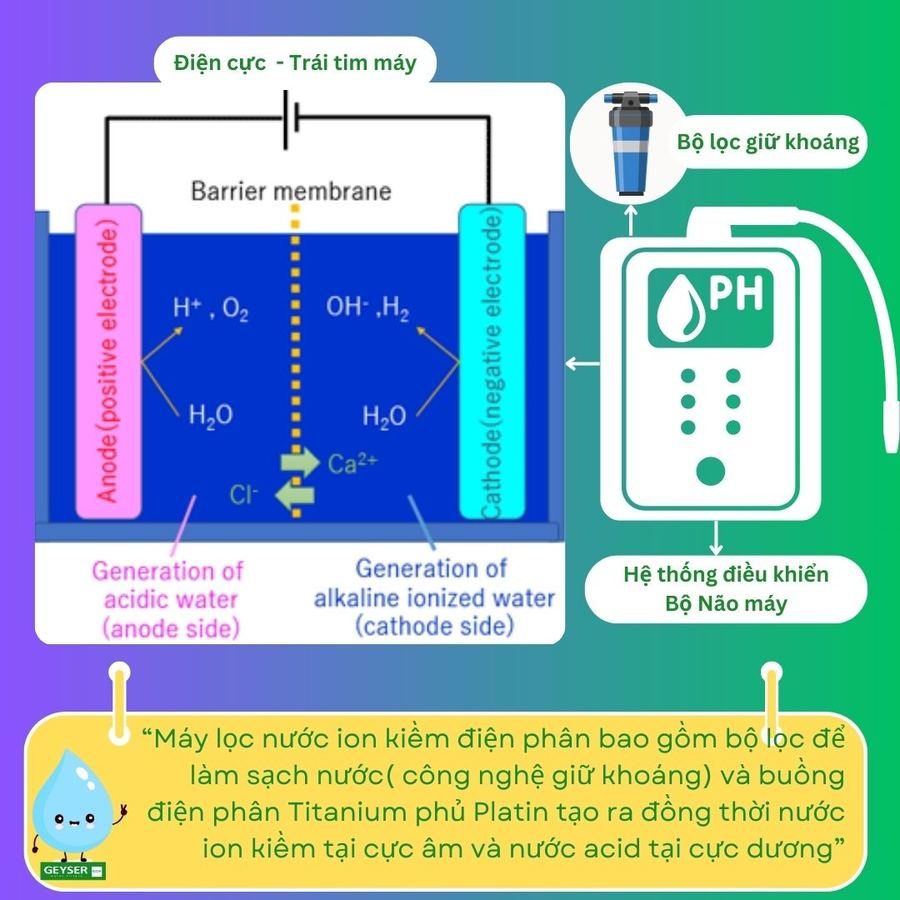 Máy lọc ion kiềm có cần tiền xử lý nước đầu vào không?