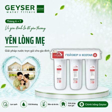 Geyser Ecotar 8