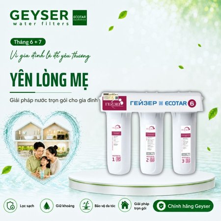 Geyser Ecotar 6