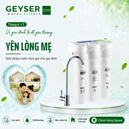 Geyser Ecotar 4 Smart